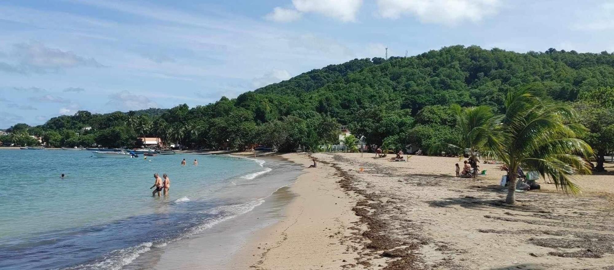 Studio Entre Terre Et Mer, Tartane, Martinique La Trinité Eksteriør bilde